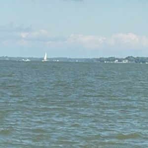 Meet your Posher, Deandre